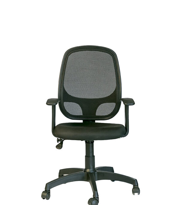 Ergo mid back task chair