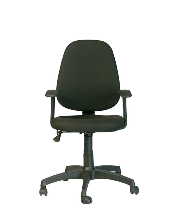 Ergo mid back task chair