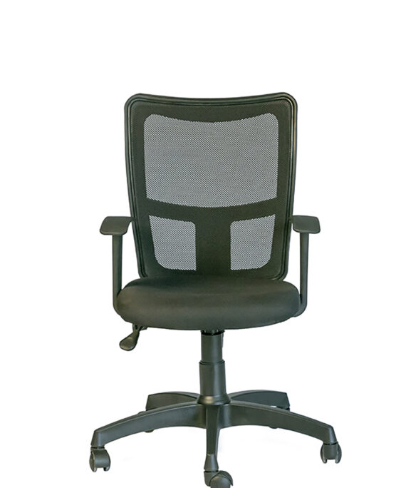 Ergo mid back task chair